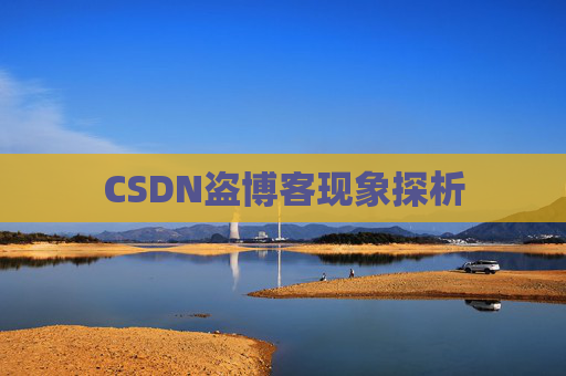 CSDN盗博客现象探析